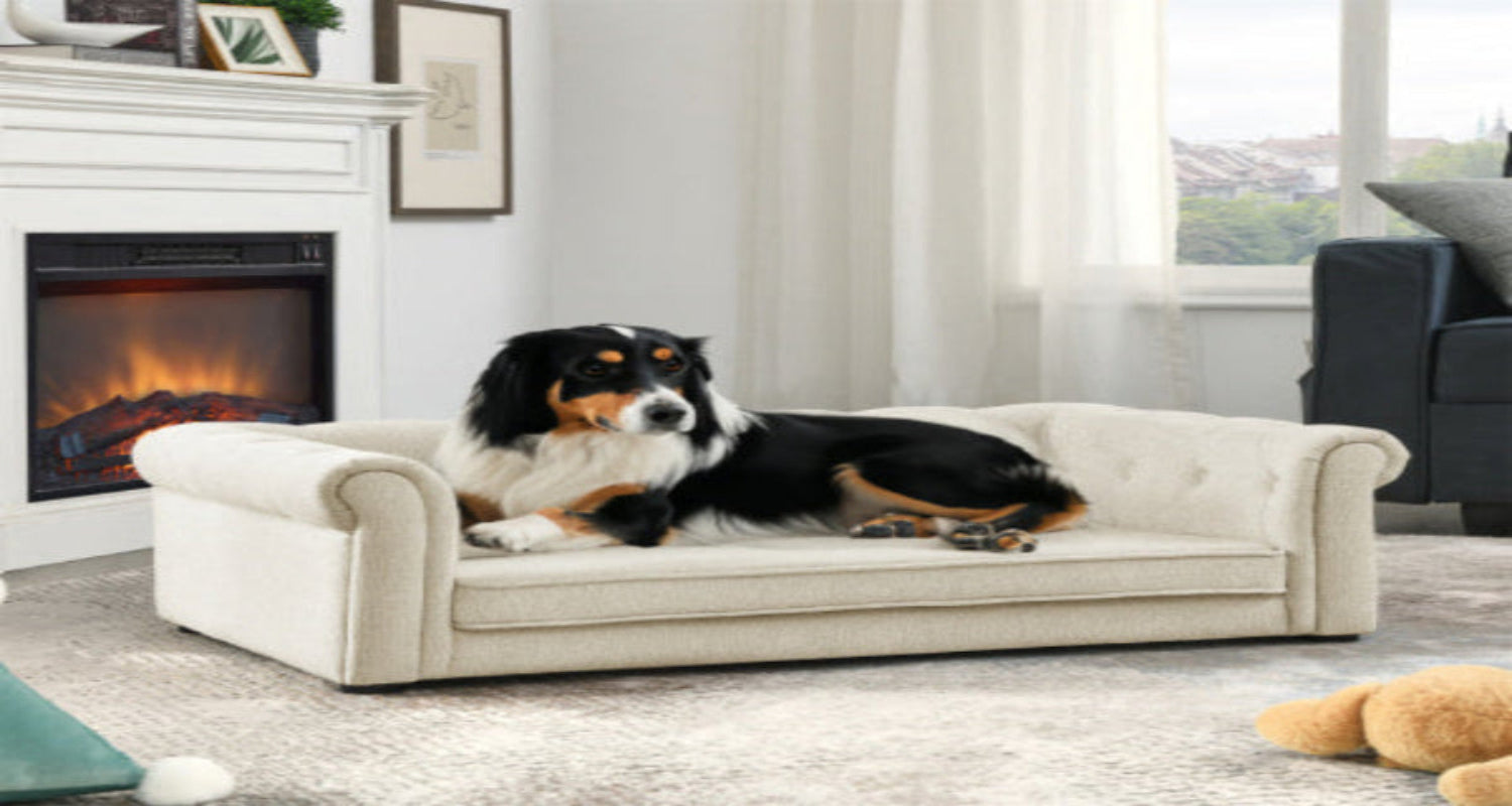 elegant rectangular pet bed