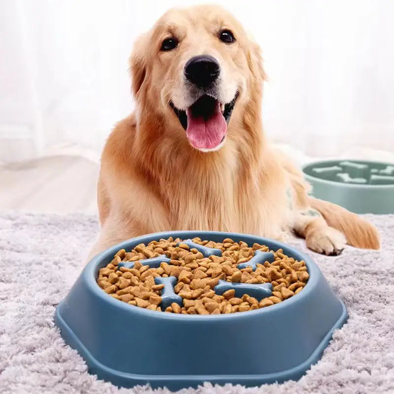 Anti-choking Slow Feeding Bowls for Dogs